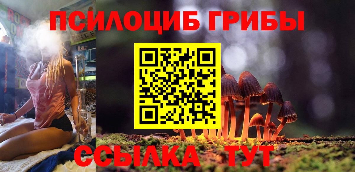 Псилоцибиновые грибы GOLDEN TEACHER Гусь-Хрустальный